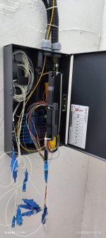 1000196388.jpg