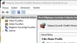 1724254225722.png